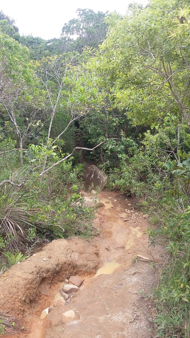 Trail that Shyrwyn walked barefoot in Florianópolis, Brazil